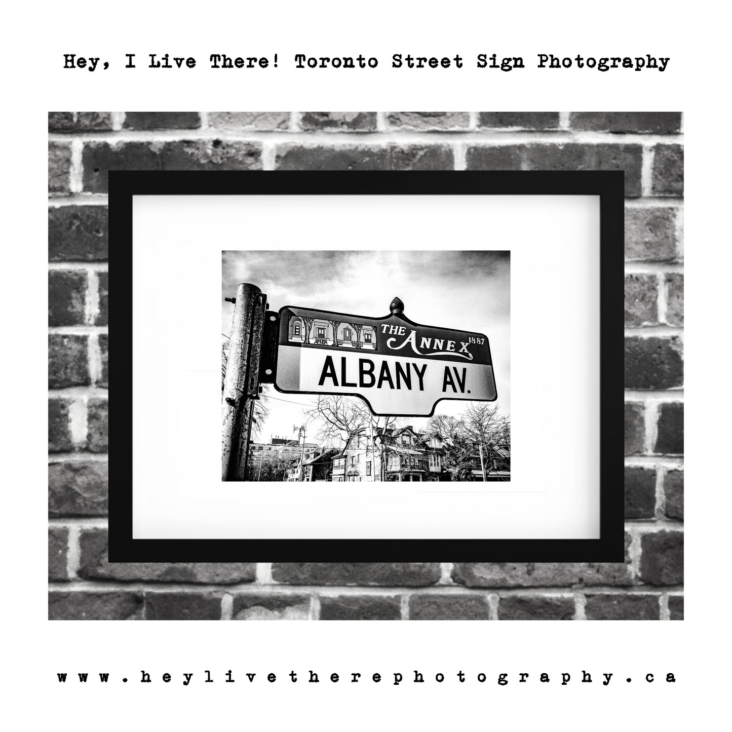 "Albany Ave"