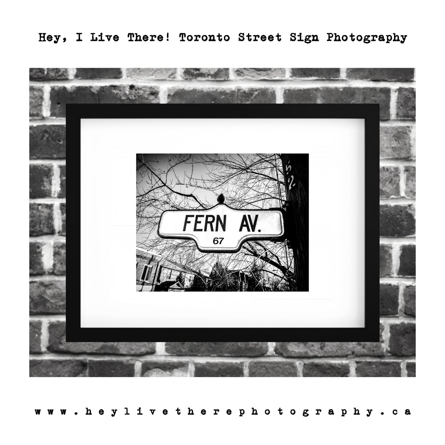 "Fern Ave"