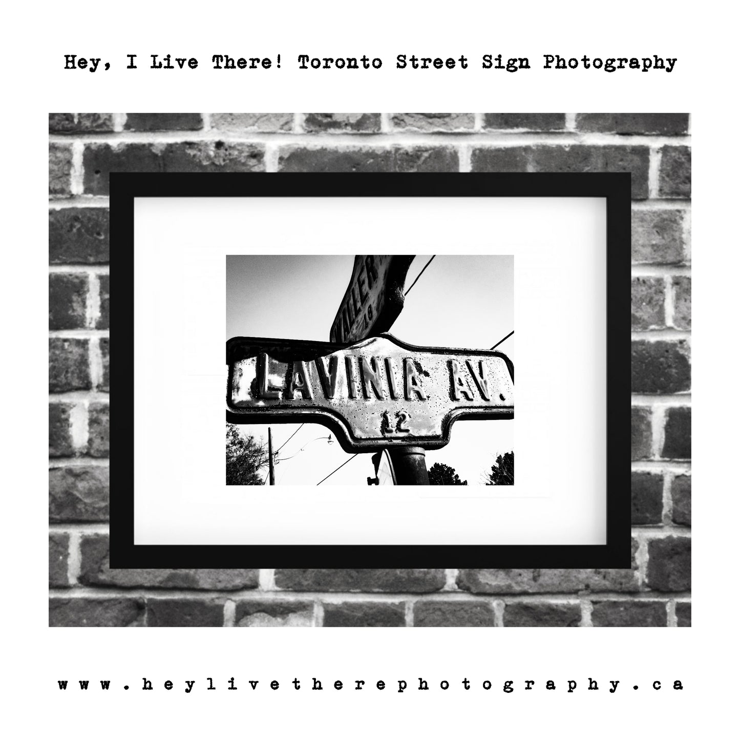 "Lavinia Ave"