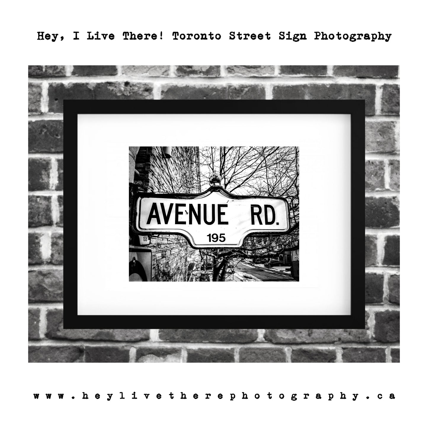 "Avenue Rd"