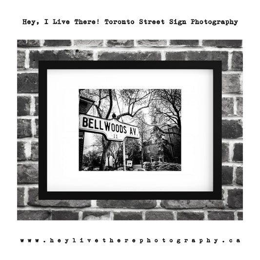 "Bellwoods Ave"