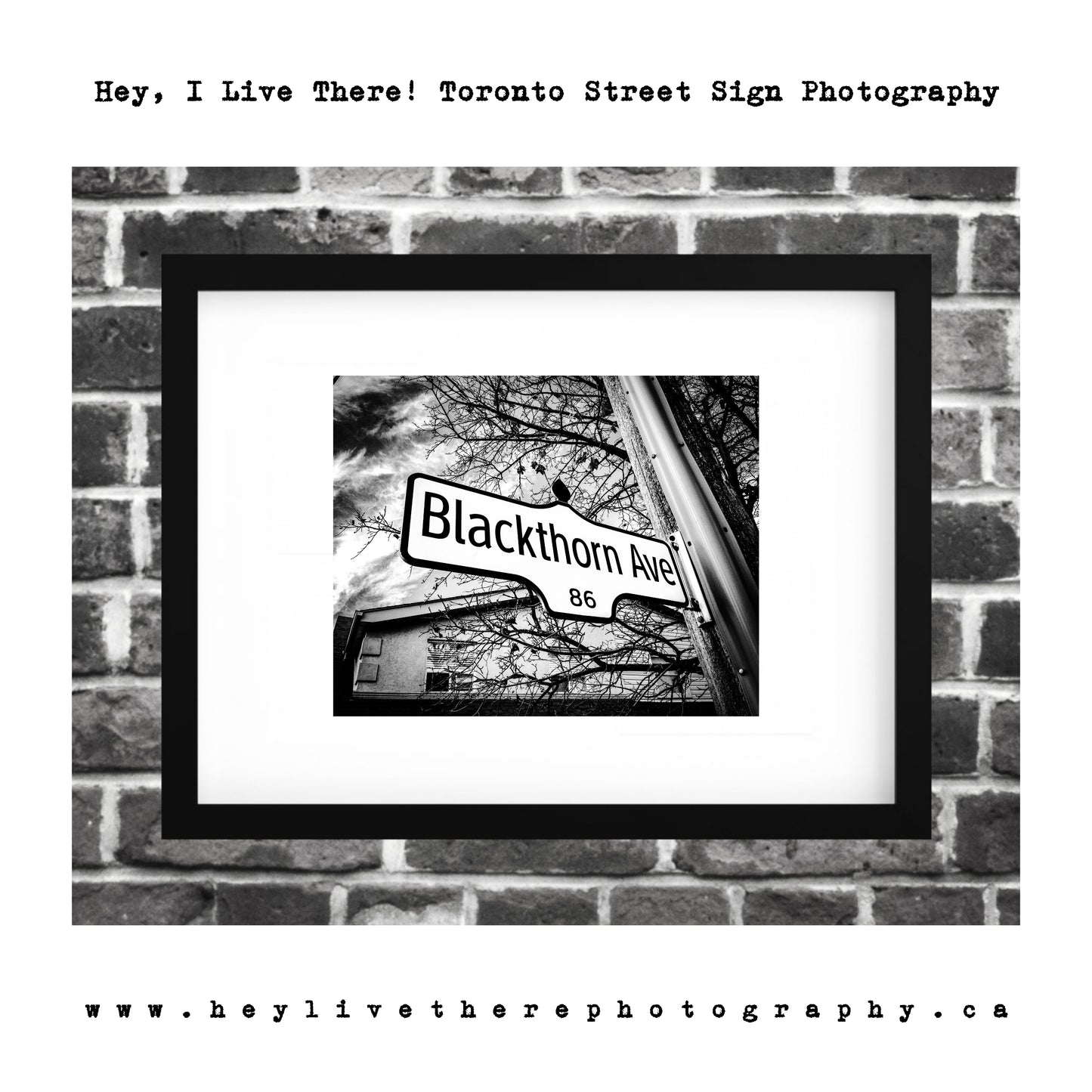 "Blackthorn Ave"