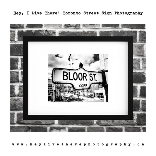 "Bloor St"