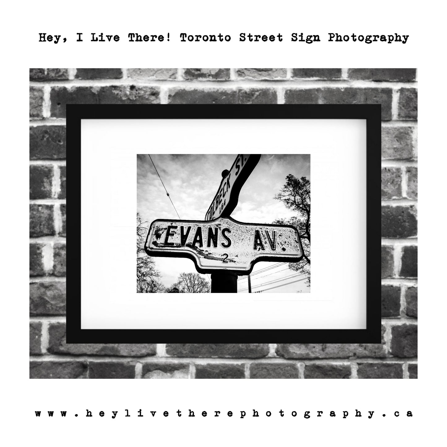 "Evans Ave'