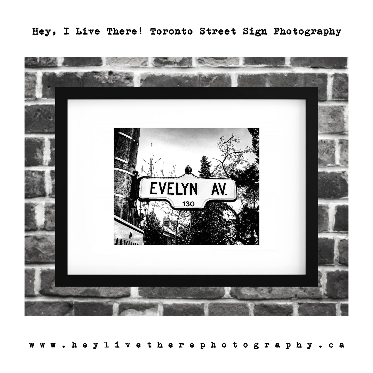 "Evelyn Ave"