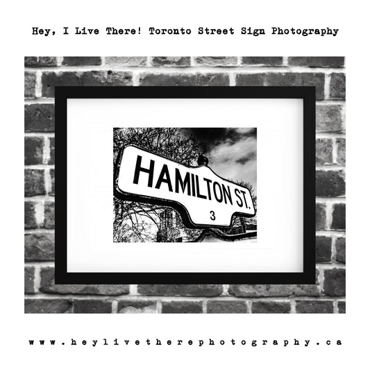 "Hamilton St"