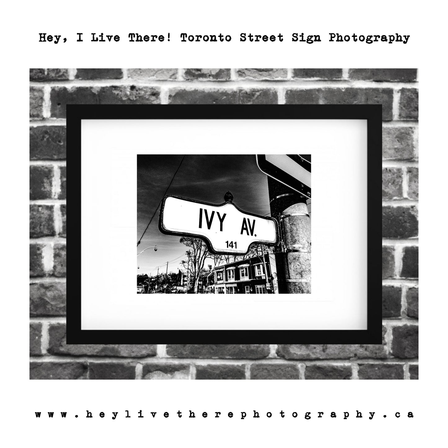 "Ivy Ave"