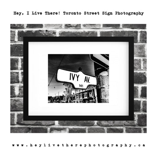 "Ivy Ave"