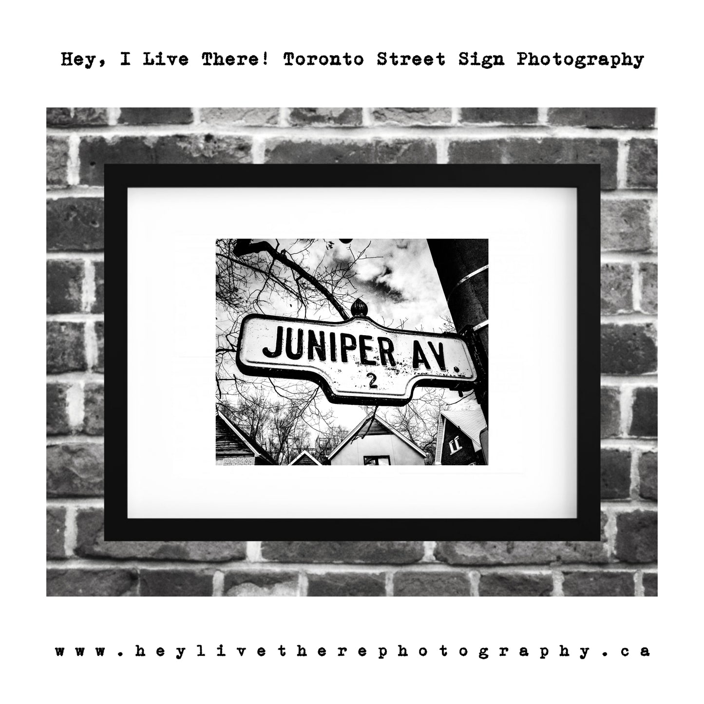 "Juniper Ave"
