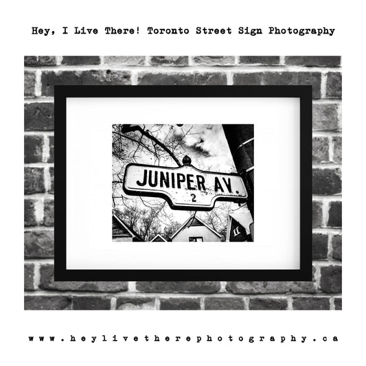 "Juniper Ave"