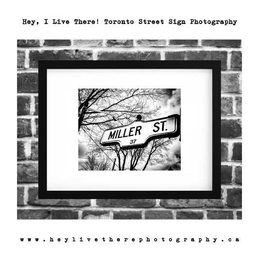 "Miller St"