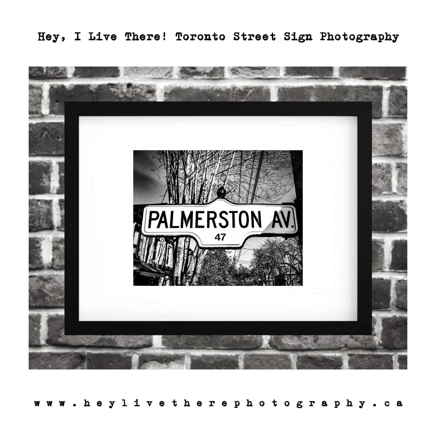 "Palmerston Ave"