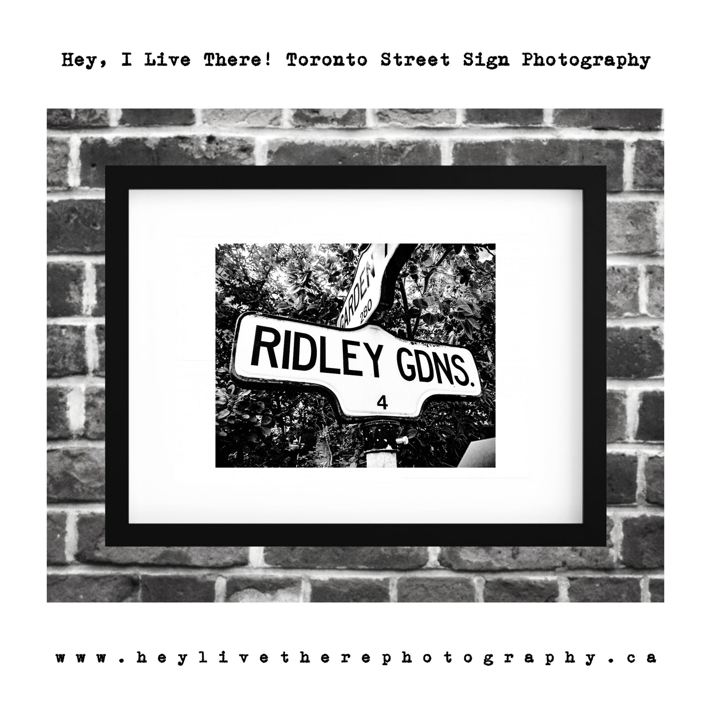 "Ridley Gardens"