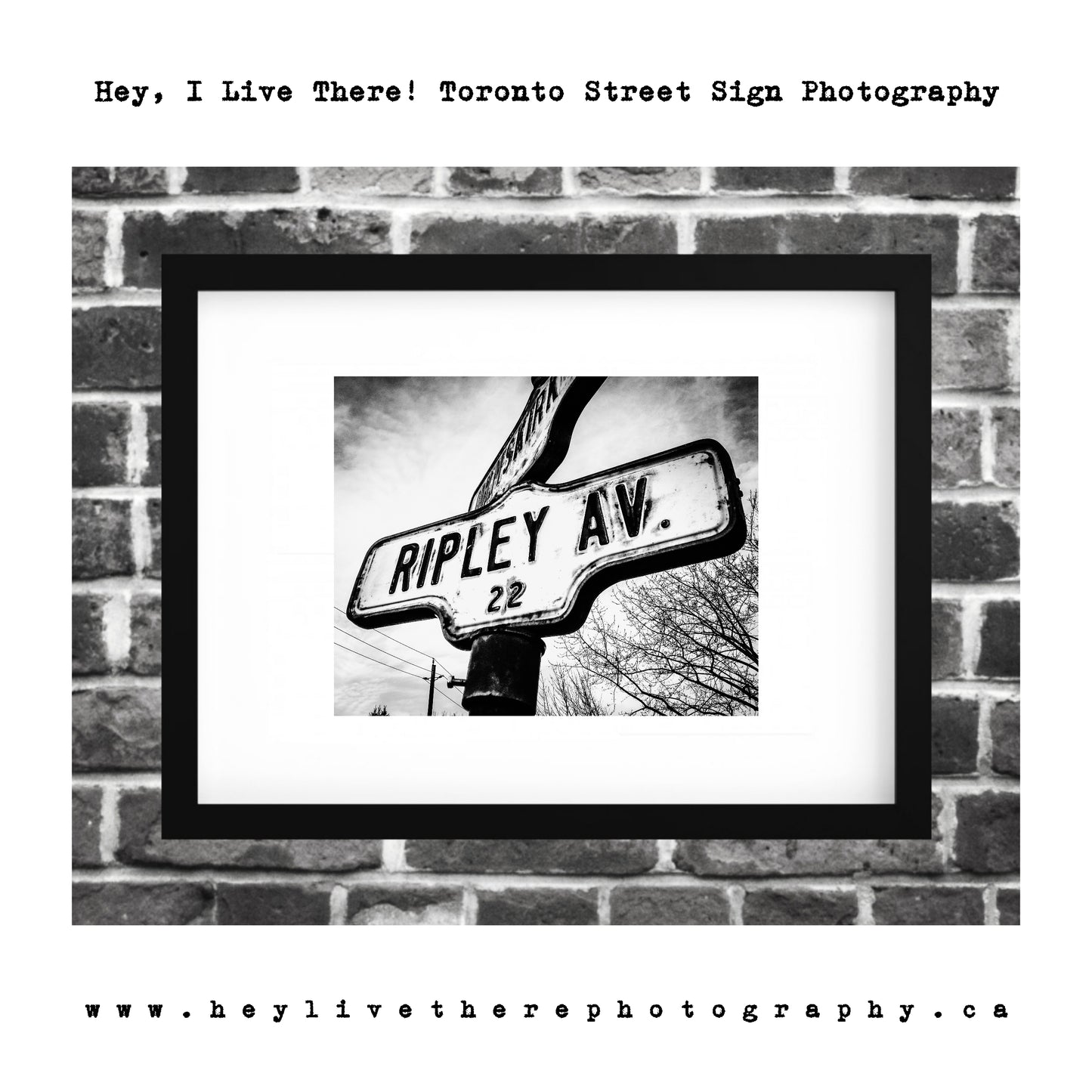 "Ripley Ave"