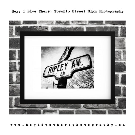 "Ripley Ave"