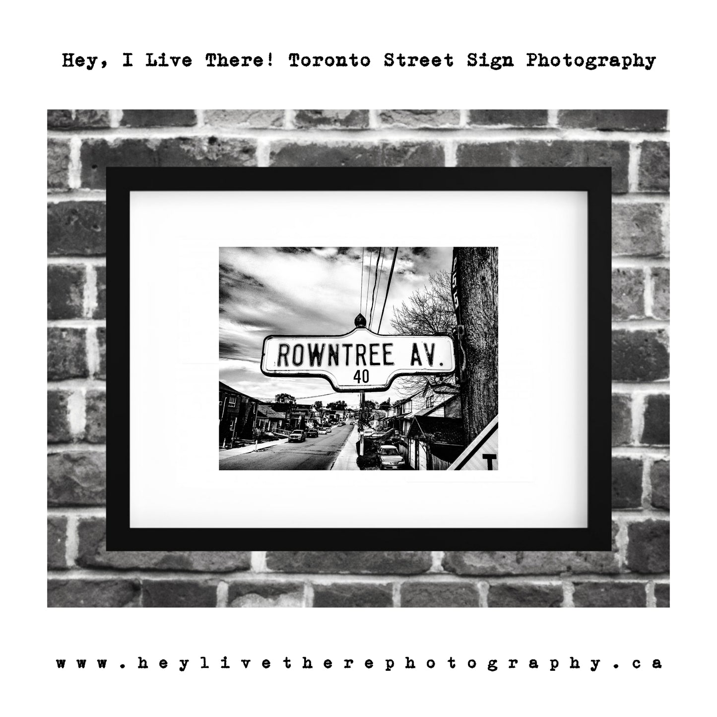 "Rowntree Ave"