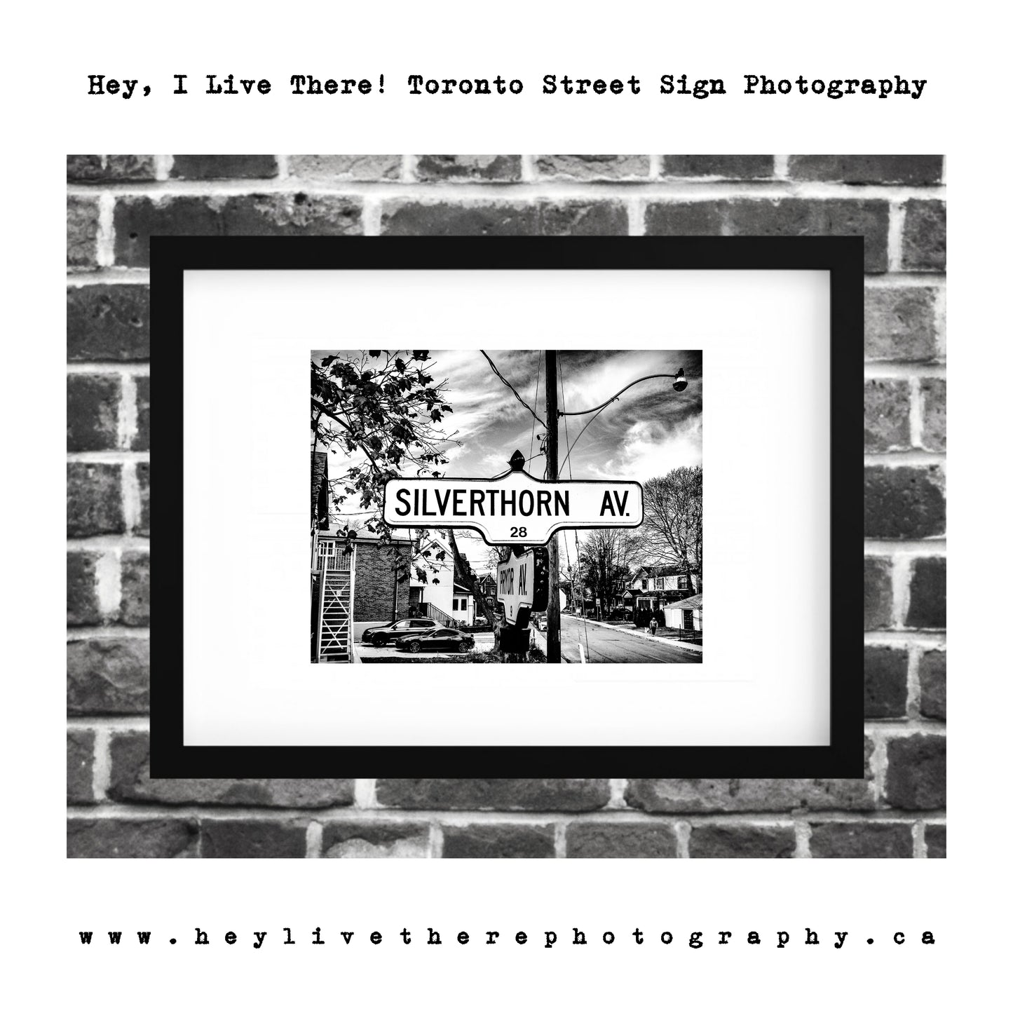 "Silverthorn Ave"