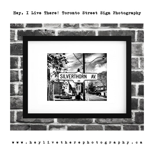 "Silverthorn Ave"