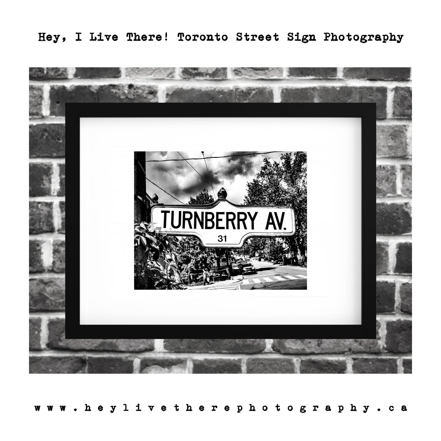 "Turnberry Ave"