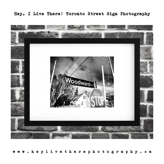 "Woodward Ave"