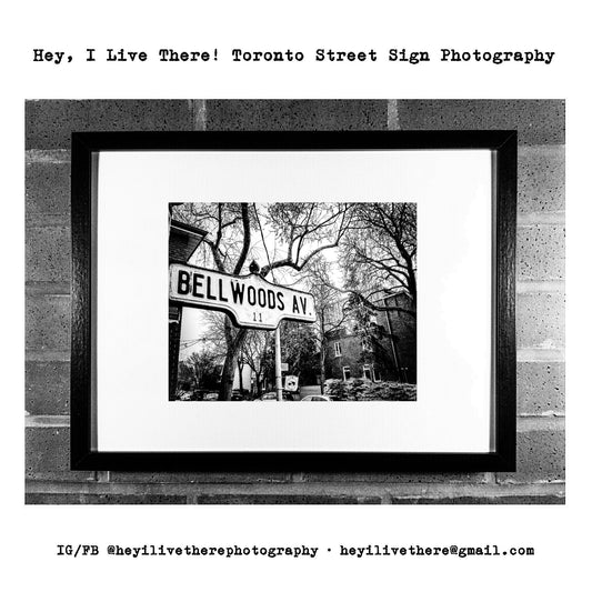 "Bellwoods Ave"